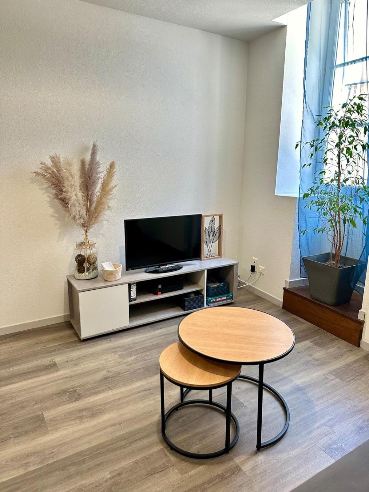 Appartement Calme Au Coeur De La Ville 隆勒索涅 外观 照片
